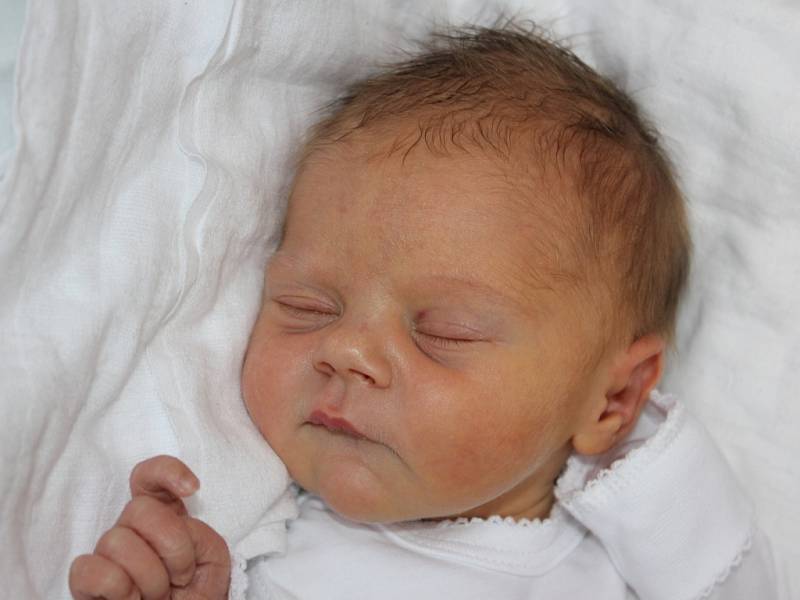 Mamince Radce Sklenářové z Litvínova se 9. dubna v 16.25 hodin narodila dcera Sára Hemanová. Měřila 49 centimetrů a vážila 2,84 kilogramu.