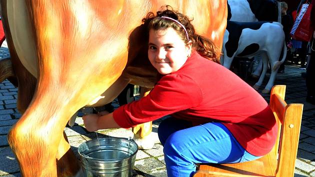 Sobotní farmářská slavnost v Mostě, po které byla oslava Dne seniorů..