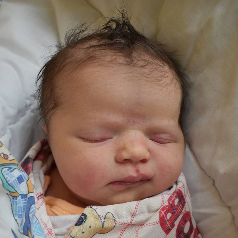 Nela Kulhánková se narodila mamince Anně Kulhánkové z Teplic 27. dubna v 9.57 hodin v teplické porodnici. Měřila 51 centimetrů, vážila 3,70 kilogramu.