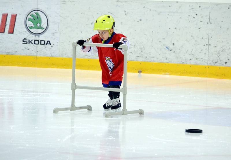 V Mostě a v Litvínově se uskutečnily náborové akce Pojď hrát hokej.