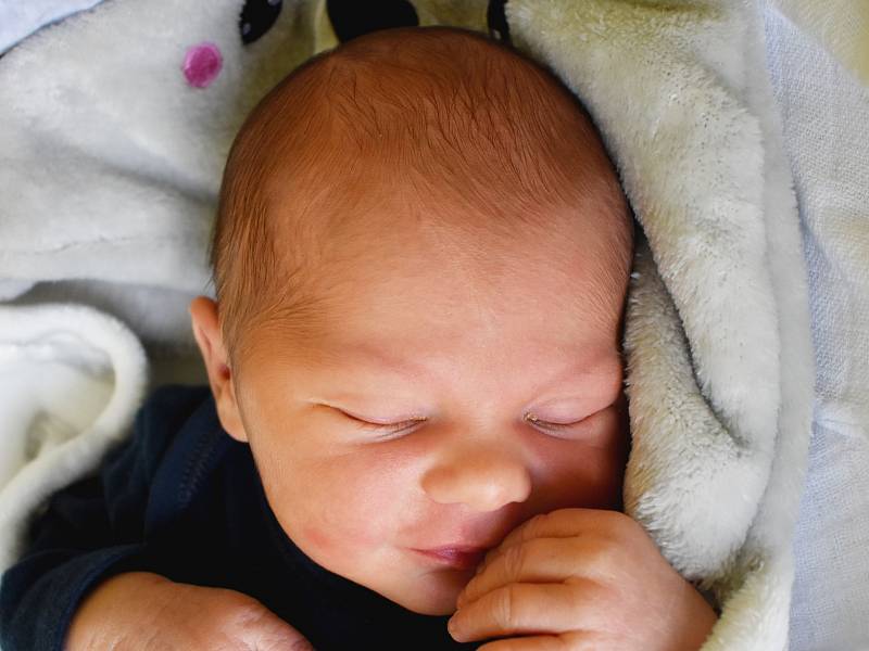 Matěj Zeithammer se narodil Michaele Nováčkové 3. srpna v 6,25 hodin v teplické porodnici. Měřil 48 cm, vážil 3,40 kg.
