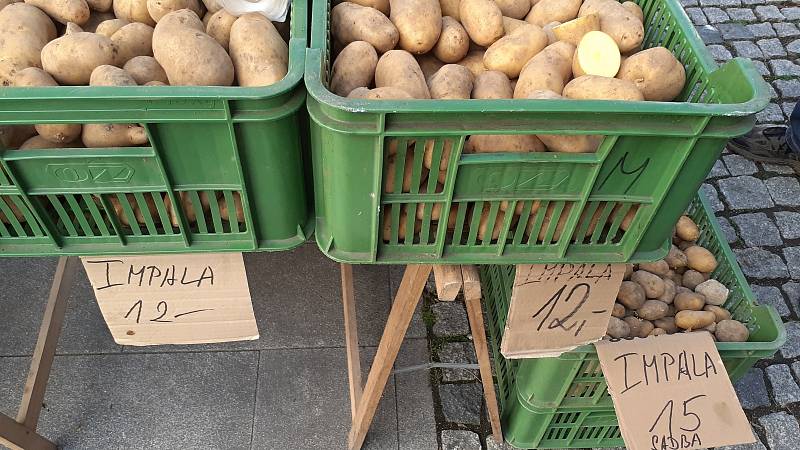 V sobotu 7. května byl v Radničním parku v Mostě tradiční trh.