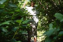 Dan Carai nese meloun po zarostlém, původně tři metry širokém asfaltovém chodníku v parku Hrabák u zahrádkářské kolonie v Mostě. Pokud se okolí chodníků nebude udržovat, za pár let je zeleň úplně pohltí.