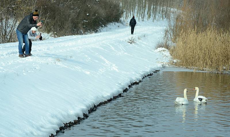 Jezero Most v sobotu odpoledne 13. února 2021.