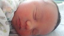 David Hejrovský se narodil mamince Lucii Švandové z Litvínova 7. dubna v 10.10 hodin. Měřil 48 cm a vážil 3,06 kilogramu.