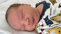 David Popelka se narodil 3. října ve 2.40 hodin mamince Simon Anně Popelka z Mostu. Měřil 53 cm a vážil 3,96 kg.