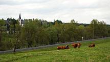 Nejlepší ekofarmou roku 2022 je Farma Kateřina v Krušných horách na Mostecku, která se zaměřuje na chov plemenného dobytka. Rodinný podnik založili v roce 1995 manželé Adolf a Kateřina Loosovi z Hory Svaté Kateřiny.