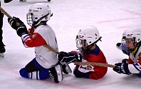První kroky na ledě. Náborová akce Pojď hrát hokej!