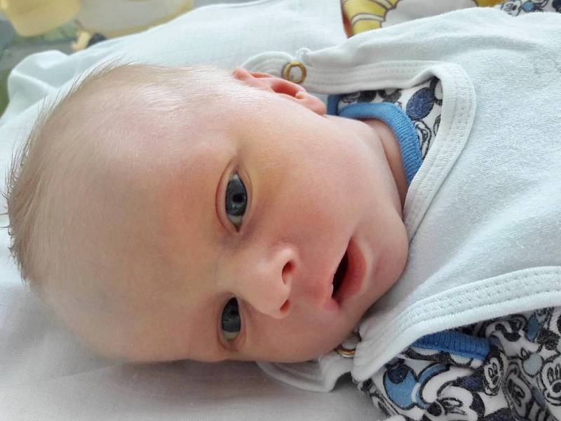 Jaroslav Hájek se narodil mamince Martině Hájkové z Mostu 11. října 2018 v 8.50 hodin. Měřil 49 cm a vážil 2,97 kilogramu.