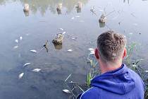 I ve čtvrtek 1. října ráno byly ve Farském rybníku na Mostecku mrtvé ryby.
