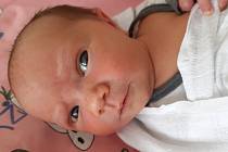 Viktorka Pavlů se narodila mamince Barboře Poláčkové 30. dubna v 15.20 hodin. Měřila 48 cm a vážila 2,94 kilogramu.