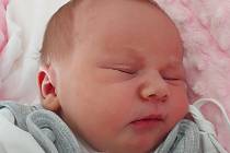 Viktorie Hanková se narodila 6. září v 8.31 hodin rodičům Ivetě Vykoukalové a Adamu Hankovi. Měřila 49 cm a vážila 3,30 kg.