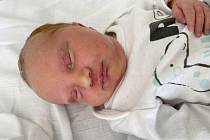 Dominik Matlas se narodil 17. března v 8.38 hodin mamince Tereze Matlasové z Mostu. Měřil 53 cm a vážil 2,77 kilogramu.