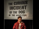 Ondřej Dvořák v Podivném případu se psem v Městském divadle v Mostě.