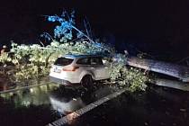 Havárie osobního auta do stromu na silnici mezi Mostem a Bílinou.