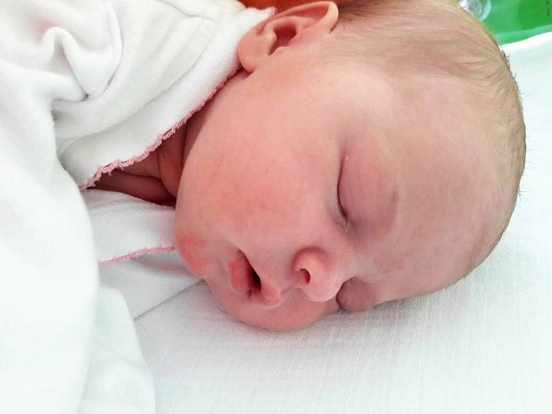 Adéla Zvonařová se narodila 14. února 2018 v 6.10 hodin mamince Marcele Zvonařové z Duchcova. Měřila 52 cm a vážila 3,86 kilogramu.
