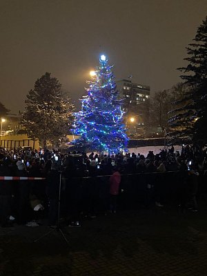 Rozsvícení vánočního stromu u 4. ZŠ Most.