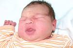 Mamince Patricii Kottové z Mostu se 29. července v 9.15 hodin narodila dcera Barbora Seifertová. Měřila 51 centimetrů a vážila 4,1 kilogramu.