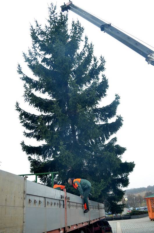 Na 1. náměstí v Mostě přivezli vánoční strom.