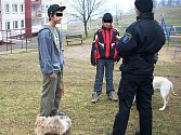Mostecký strážník řeší mladíka se psem, který neměl evidenční známku.