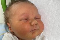 Alexandr Waltz se narodil 16. dubna ve 23.45 hodin mamince Nadě Volfové z Mostu. Měřil 52 centimetrů a vážil 3,67 kilogramu.