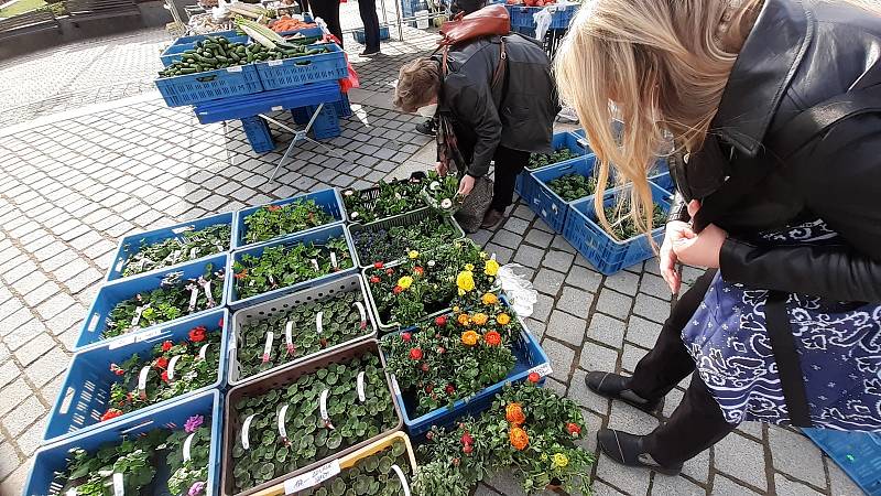 Farmářský trh na 1. náměstí v Mostě v sobotu 24. dubna.