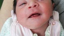 Kateřina Pohlodková se narodila mamince Nikole Žigmundové z Mostu 25. března 2017 v 7.15 hodin. Měřila 50 cm a vážila 3,12 kilogramu.