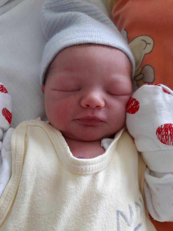 Viktorie Smetanová se narodila mamince Petře Ertlové z Mostu 5. srpna v 0.15 hodin. Měřila 49 cm a vážila 2,97 kilogramu.
