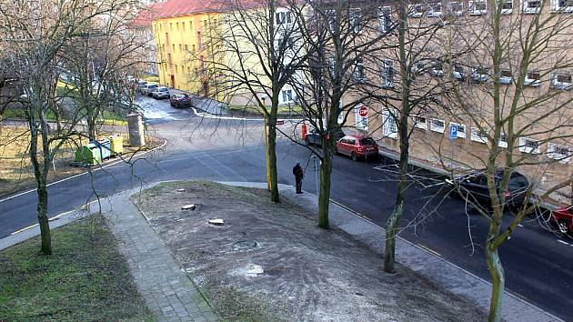 Vykácené stromy v Hornické ulici v Meziboří.