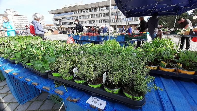 Farmářský trh na 1. náměstí v Mostě v sobotu 24. dubna.