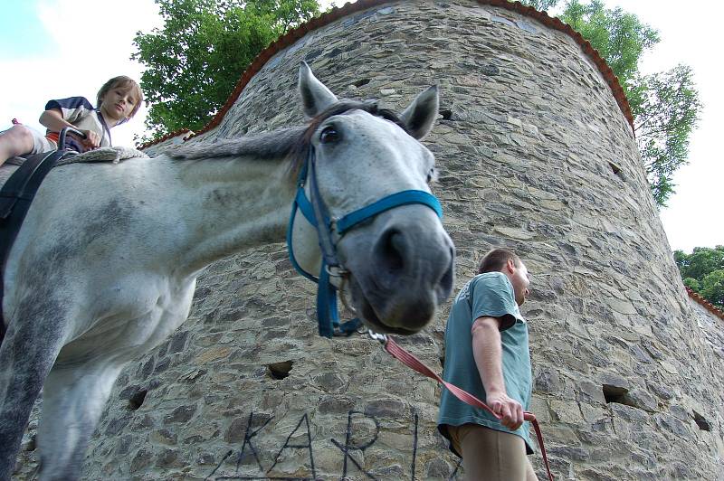 Den magistra Edwarda Kelleyho, 2009