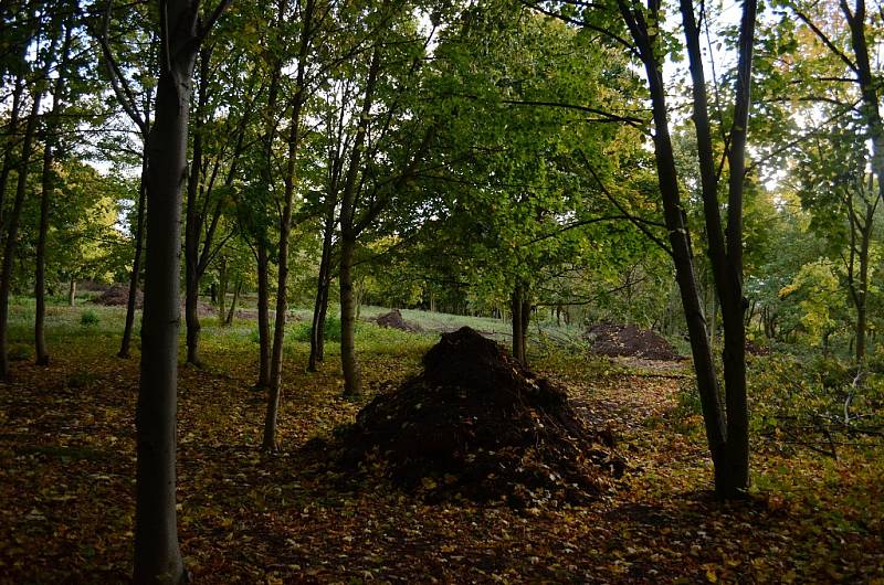 Archeologický výzkum v mosteckém parku Šibeník odhaluje pozůstatky protileteckého dělostřelectva, které tu měli za války nacisté kvůli obraně své chemičky u nedalekého Litvínova.