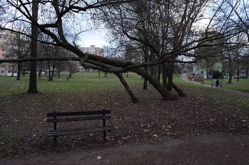 Mostecký park mezi knihovnou a stadionem hlídá kamera.