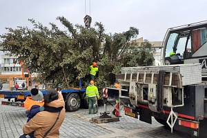 Příjezd a instalace hlavního vánočního stromu na 1. náměstí v Mostě v pondělí 27. listopadu.