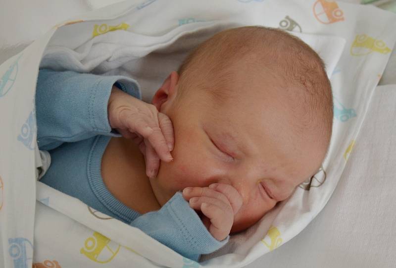 Adam Krčmárik se narodil 9. října ve 13.22 hodin rodičům Alici a Radkovi Krčmárikovým. Měřil 52 cm a vážil 3,90 kg.