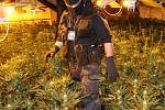 Kriminalisté odhalili pěstírnu marihuany v Šantánu