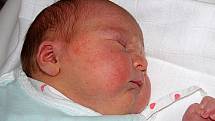 Mamince Danuši Humlové z Polerad se 2. ledna v 11.50 hodin narodila dcera Natálie Humlová. Vážila 3,57 kg a měřila 50 cm.