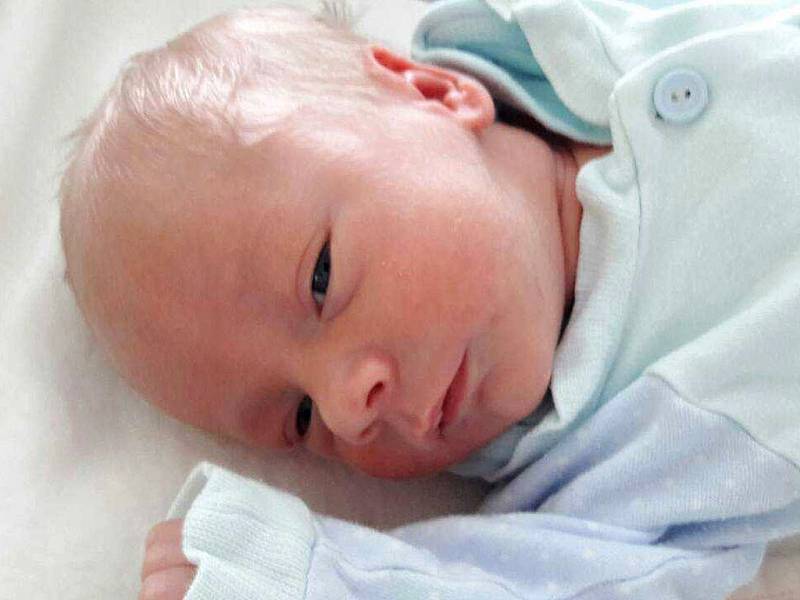 Jan Haluška se narodil 1. srpna 2017 ve 14.08 hodin mamince Michaele Bradáčové z Loun. Měřil 40 cm a vážil 1,7 kilogramu.