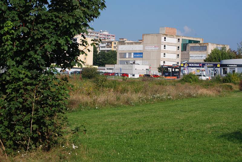 Na této louce v Mostě má stát Kaufland, probíhá zjišťovací řízení kvůli EIA.