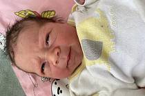 Viktorie Wirknerová se narodila 28. dubna 2021 ve 20.47 hodin mamince Kateřině Wirknerové. Měřila 47 cm a vážila 2,89 kg.