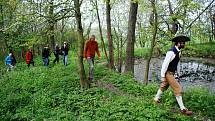 Cesta ke studánce u kaple v Sinutci.