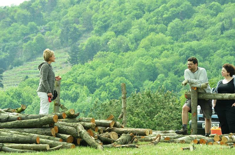 Na pláni u kostela v Mostě začala ve čtvrtek stavba palisády pro keltskou vesničku.