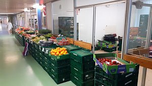 Zrušená pošta v mostecké nemocnice se využívá k uskladnění beden s ovocem a zeleninou, které patří sousednímu obchůdku.