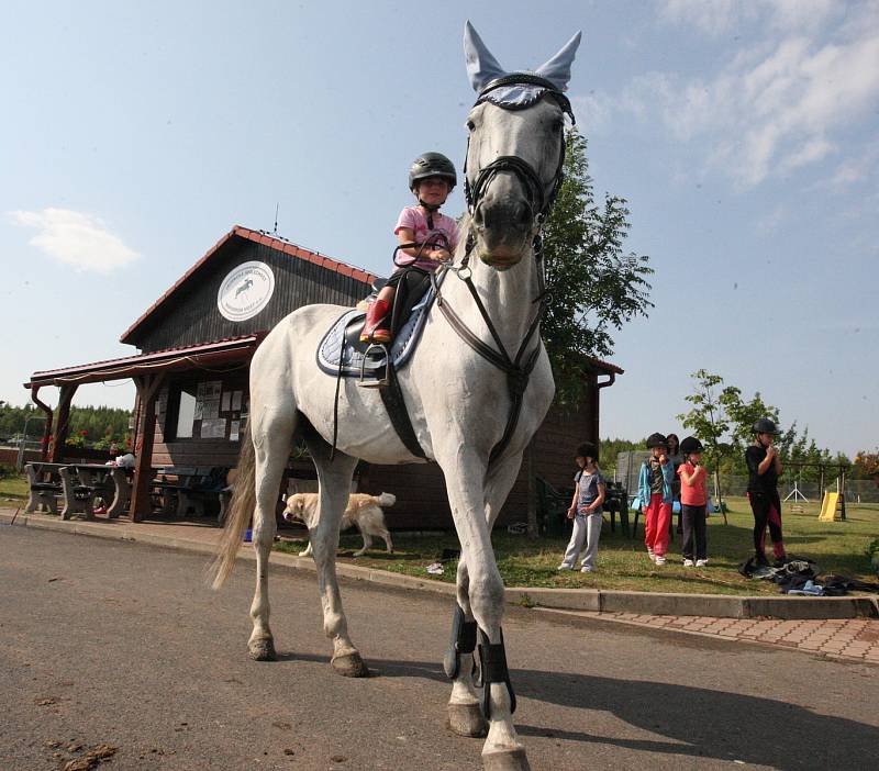 Příměstský tábor na mosteckém hipodromu, 2012.