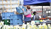 Farmářský trh na 1. náměstí v Mostě v sobotu 24. dubna.