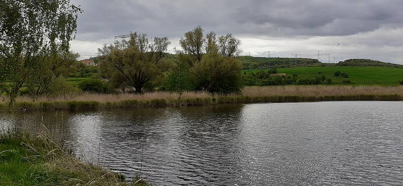 Víska Bedřichův Světec, rybník.