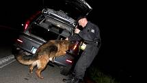 Psovod se svým psem cvičeným na vyhledávání zbraní kontrolují jedno ze zastavených vozidel.