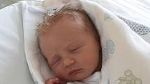 Štěpán Lechnýř  se narodil 20. července v 19.47 hodin rodičům Aleně Chudomelové a Zdeňkovi Lechnýřovi. Měřil 51 cm a vážil 3,15 kg.