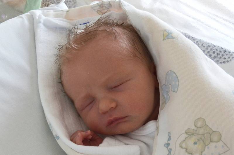 Štěpán Lechnýř  se narodil 20. července v 19.47 hodin rodičům Aleně Chudomelové a Zdeňkovi Lechnýřovi. Měřil 51 cm a vážil 3,15 kg.