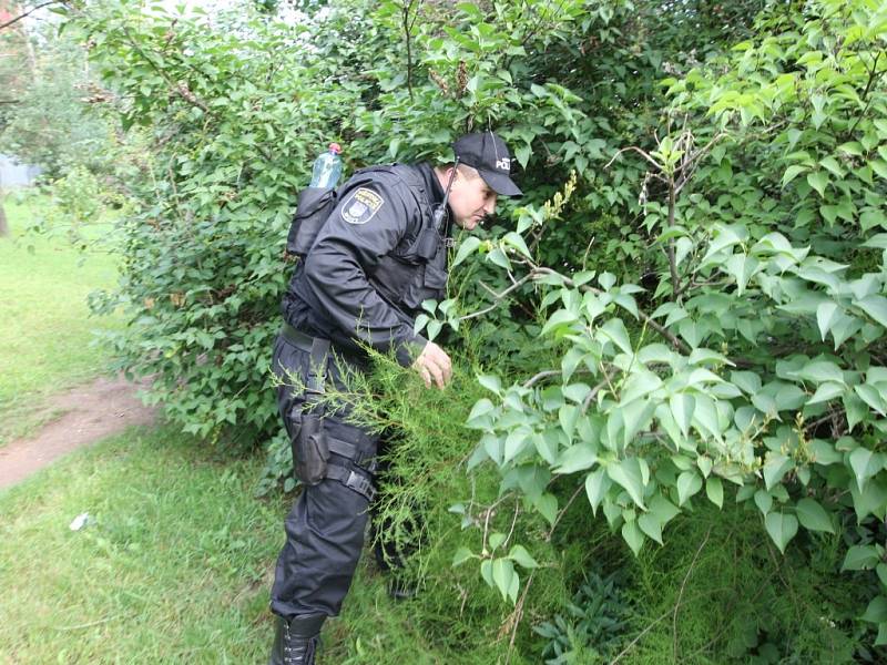 Policisté pátrají po ztraceném muži.